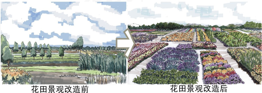 1445230354490218.jpg untitled.jpg