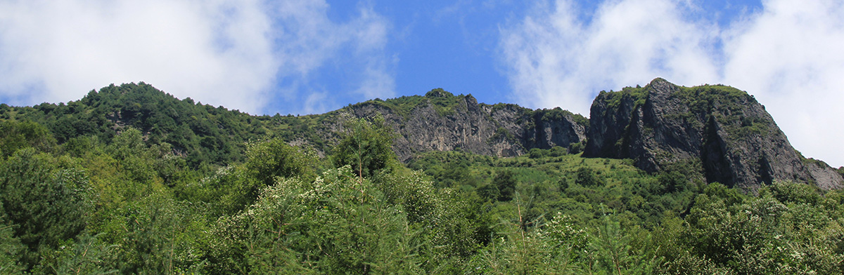 IMG_4424.jpg