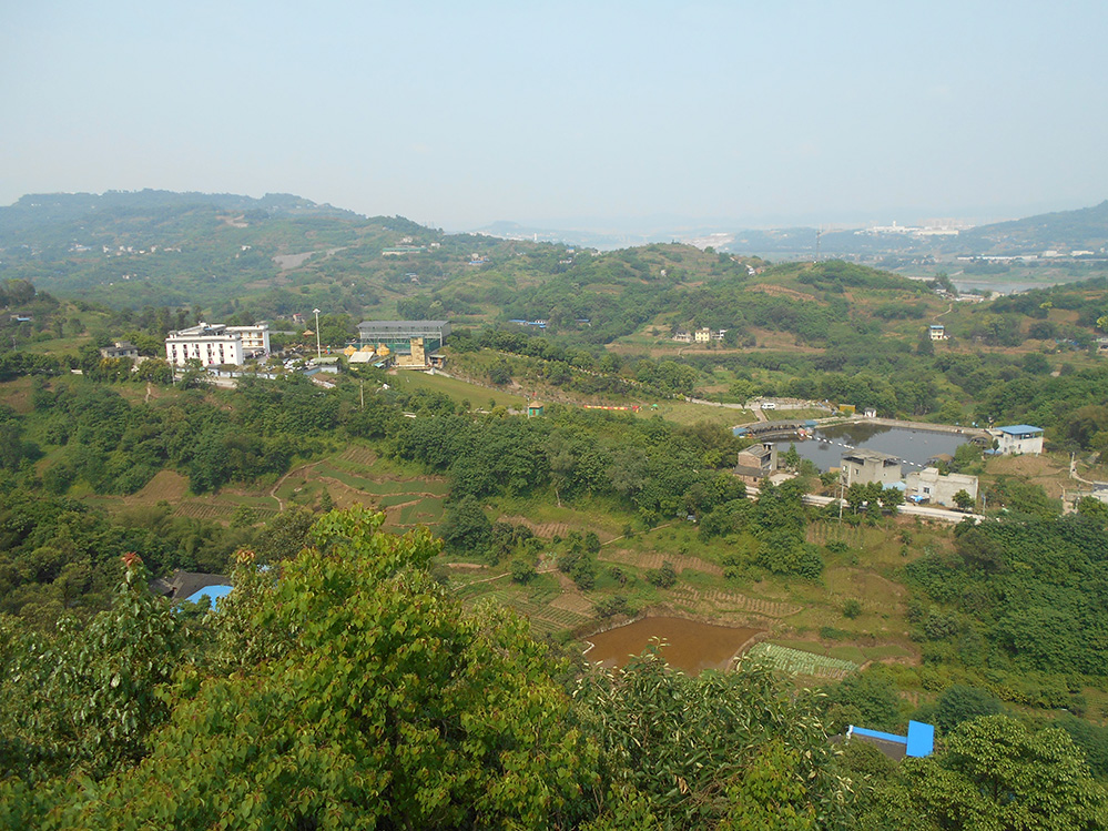 DSCN4204.jpg