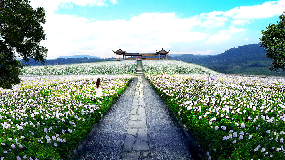 禾本景观 ggg.jpg